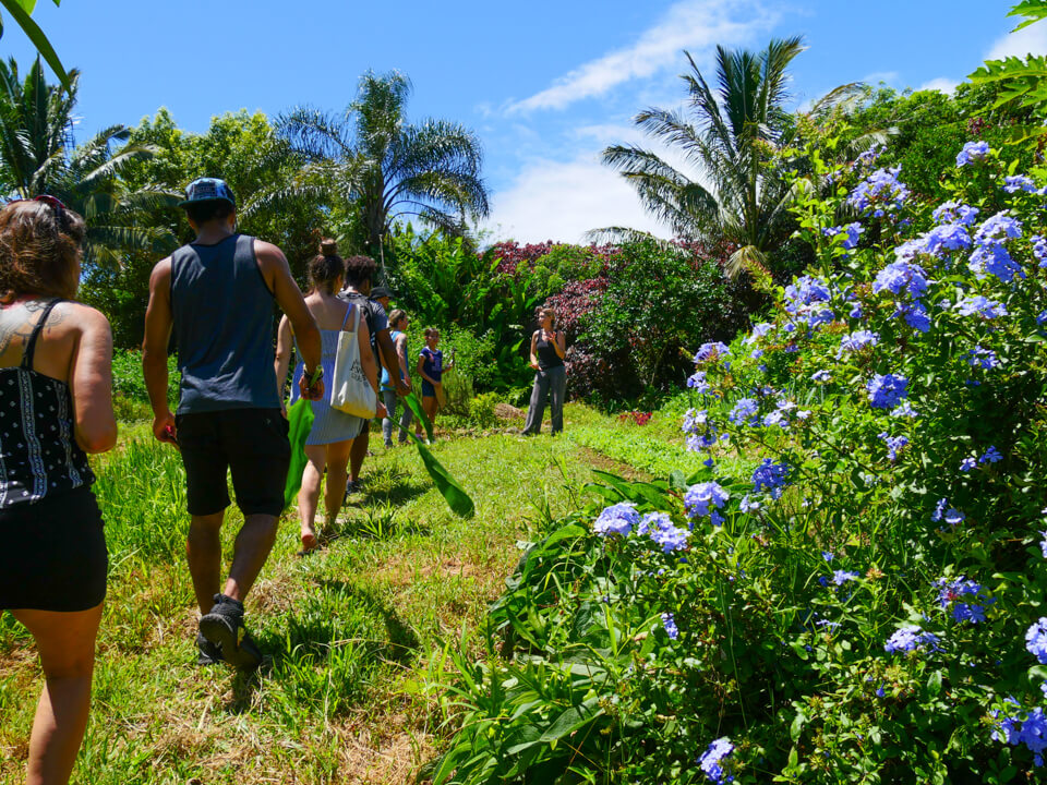 A group of retreat guests walking during the Aloha Maui Farm Tour at Hale Akua
