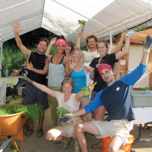Hale Akua farm interns posing for a group picture at the farm shed
